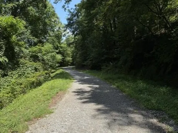 650 Windsong Mountain Dr, Franklin, NC 28734