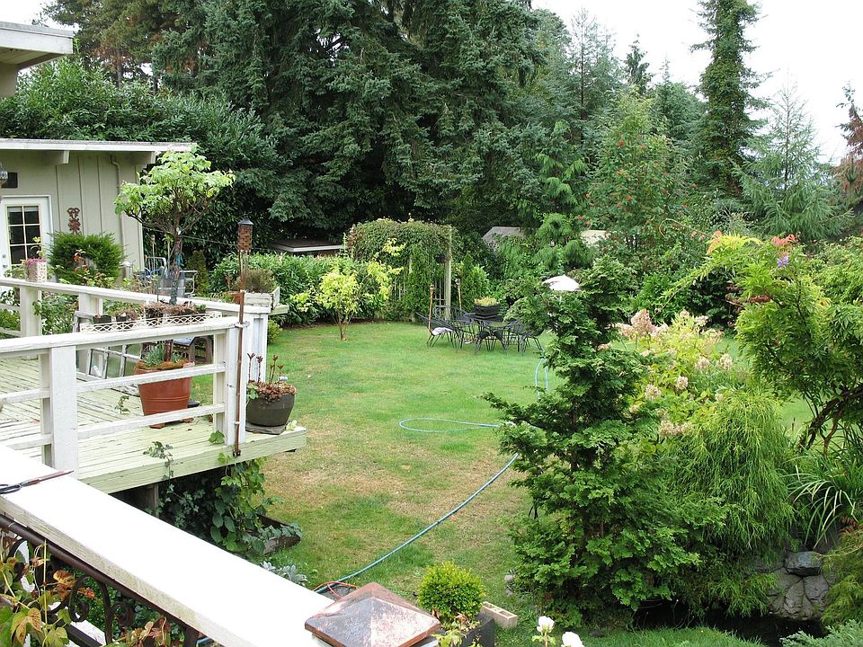corner of back yard