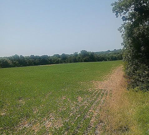 4th image of TRACT 2 And 3 County Rd #442