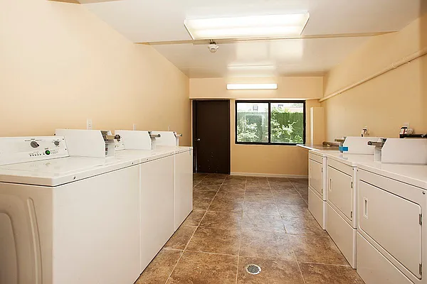 Rented by Nest Seekers International | media 14