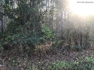 203 Pomona Landing Rd, Crescent City, FL 32112