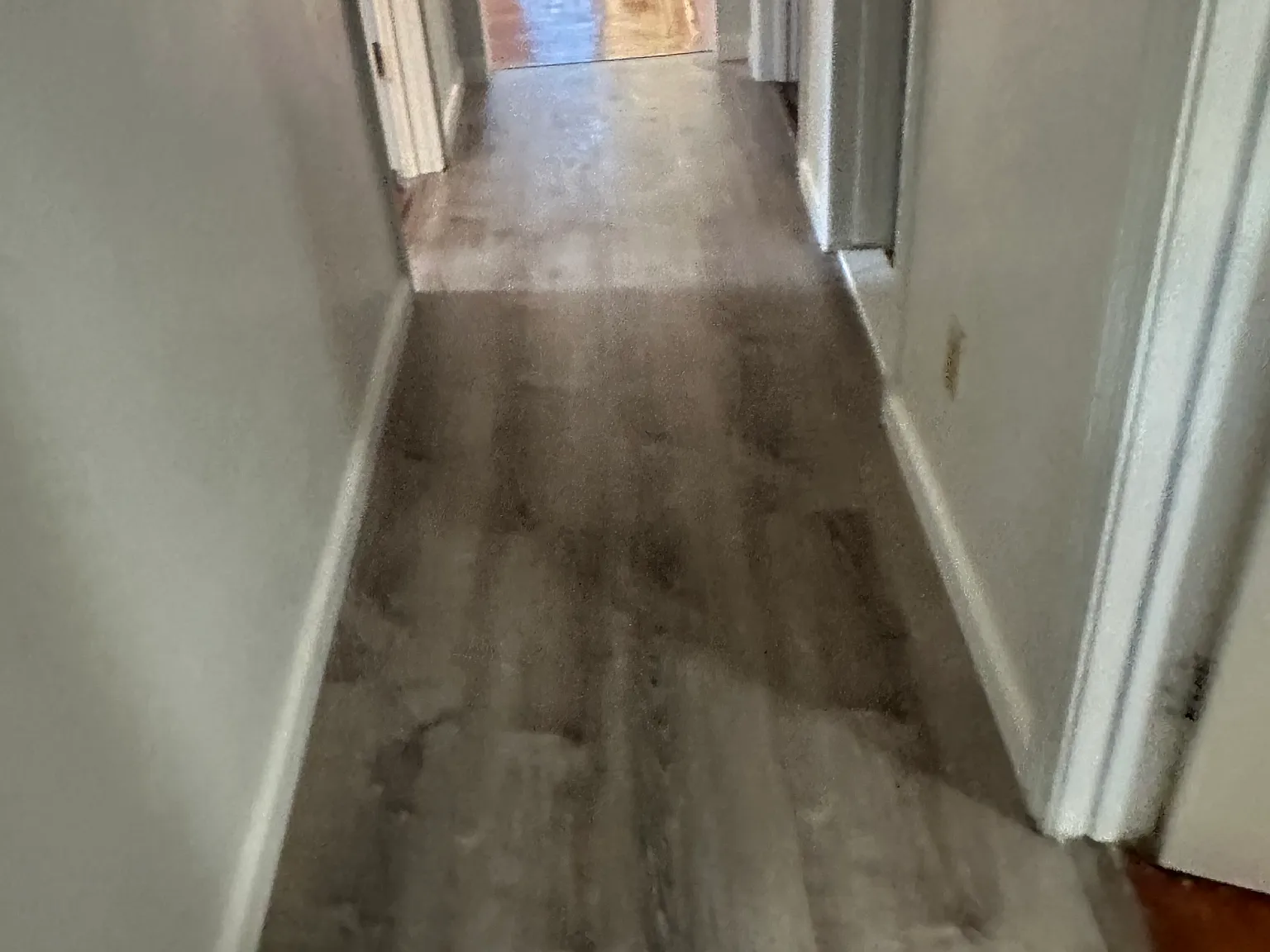 3 bed, 1100 sqft, $1,950 — Photo 4