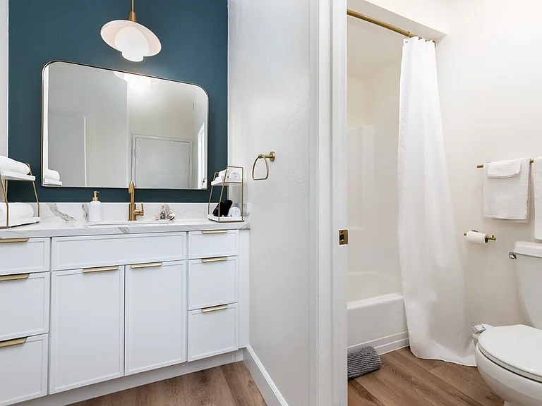 Bright full hotel-style split bathroom with tub/shower and brass accents.