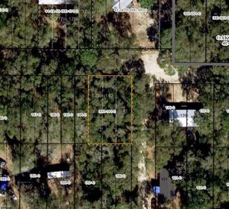 Xx Moss Cove Ln, Tallahassee, FL, 32305