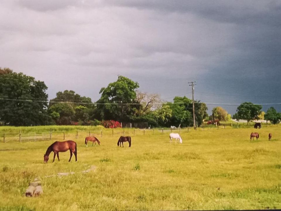 1st image of 0 20th St