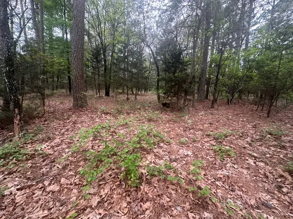 263 Monkey Wrench Trl #B, Moyers, OK 74557