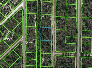 1150 Greco St, Lake Placid, FL 33852