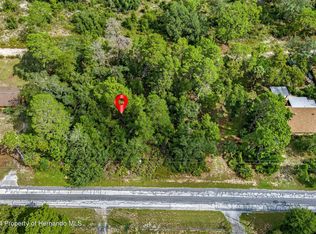 8055 Filson St, Weeki Wachee, FL 34613