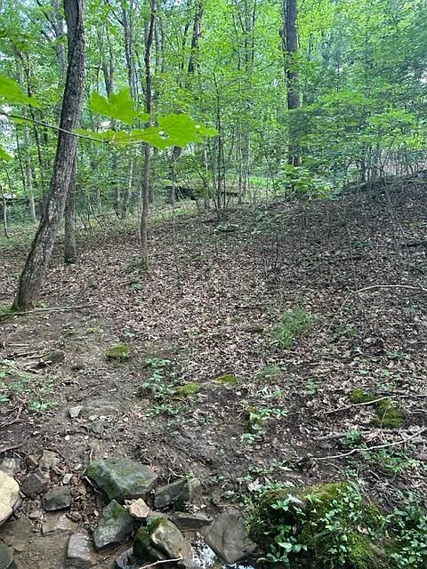 43rd image of 159-161 Sugarbush Cir