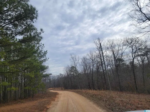 11 County Road 116, Heflin, AL 36264