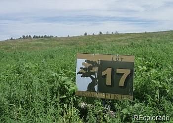 5th image of 7335 Lost Lake Dr