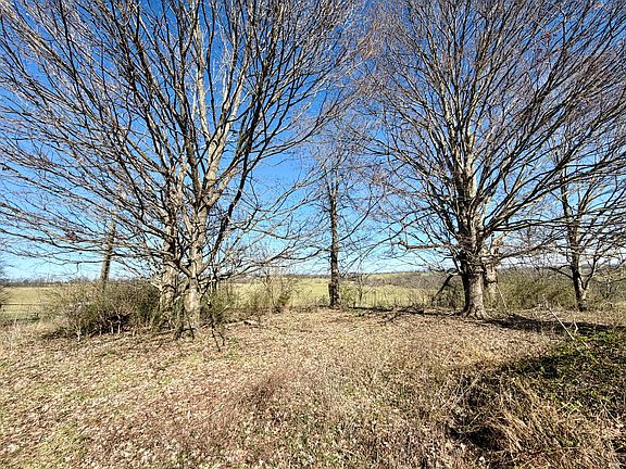 4th image of 2068 Jacks Creek Rd