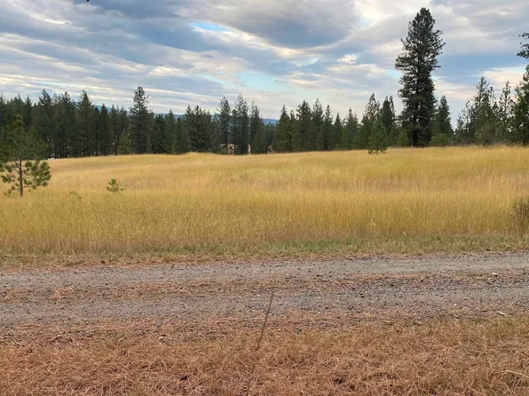 49700 Forest Dr N, Davenport, WA 99122