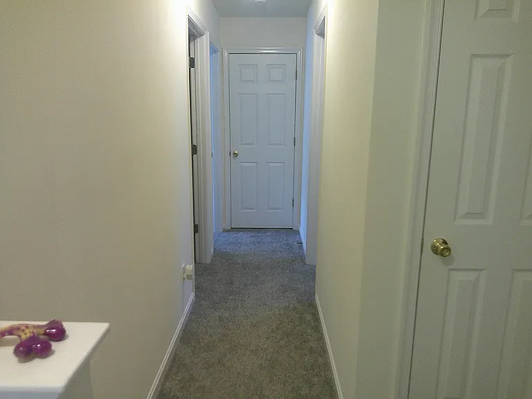 209 Ingram St SE — Photo 8