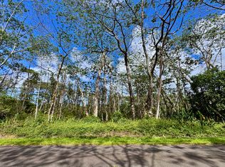Kauai Rd Lot 163, Pahoa, HI 96778