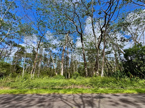 Kauai Rd Lot 163, Pahoa, HI 96778