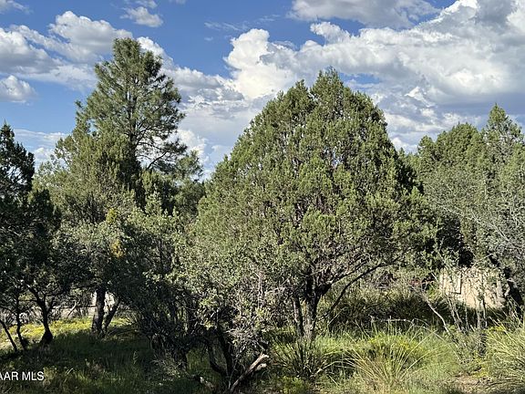 4th image of 360 High Chaparral Loop