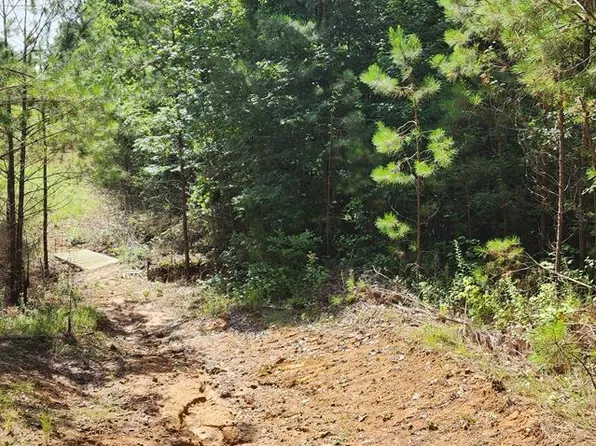 0 Allen Mill Cv, Camden, TN 38320