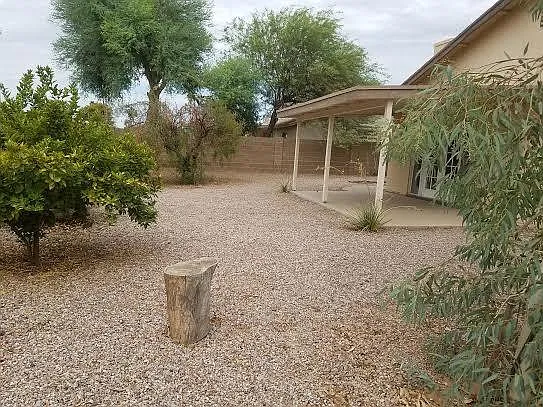 Back yard and patio