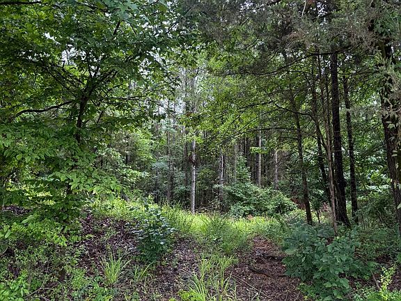 5th image of 6 Old Gauley Rd