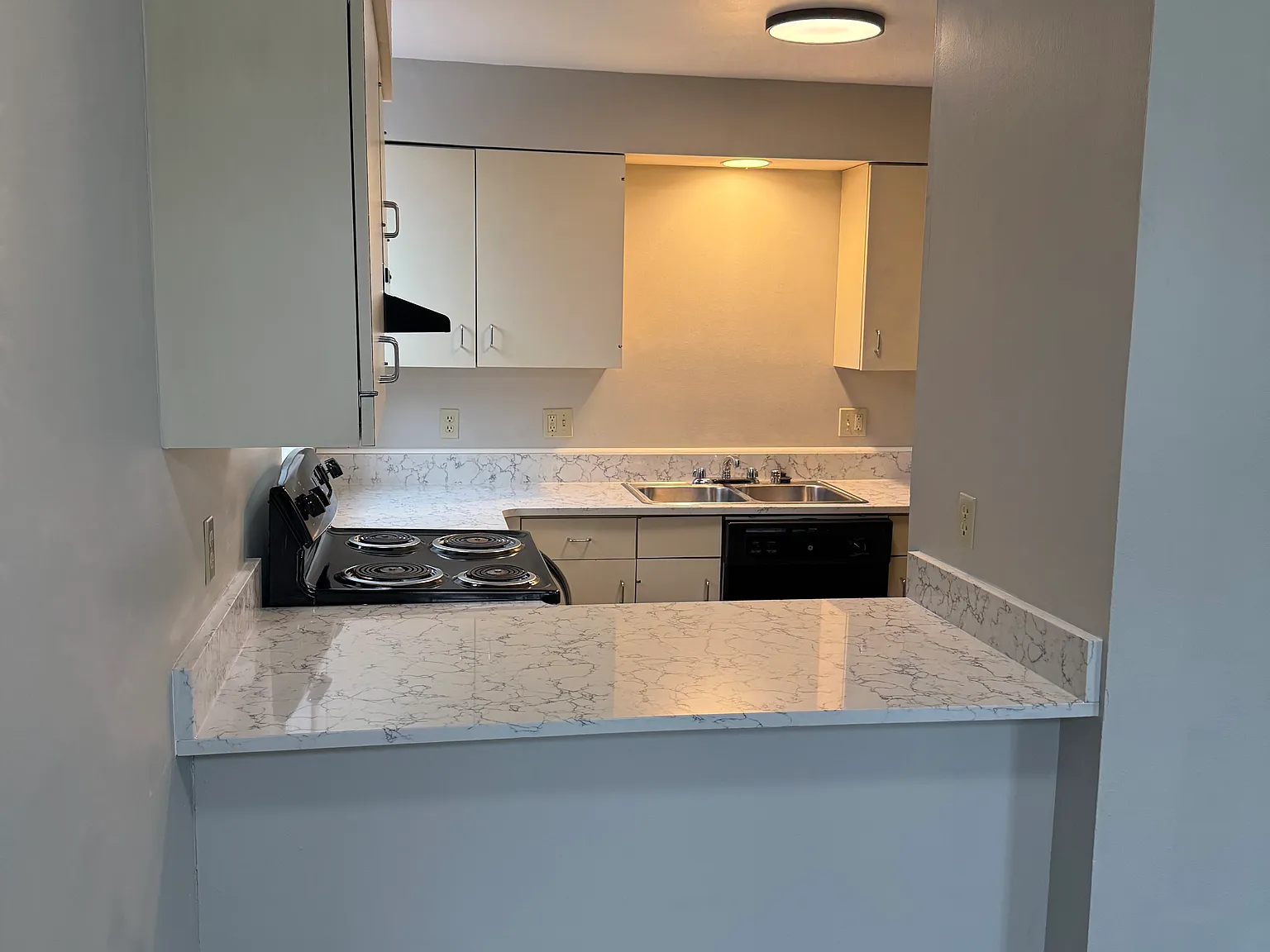 2 bed, 950 sqft, $1,450 — Photo 3