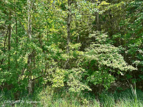 Pinconning Rd, Beaverton, MI 48612