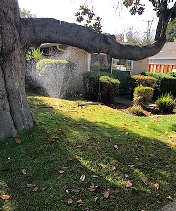 2nd image of 275 Tyrella Ave