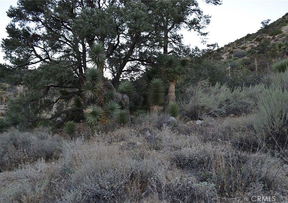 2nd image of 0 Verde Ave