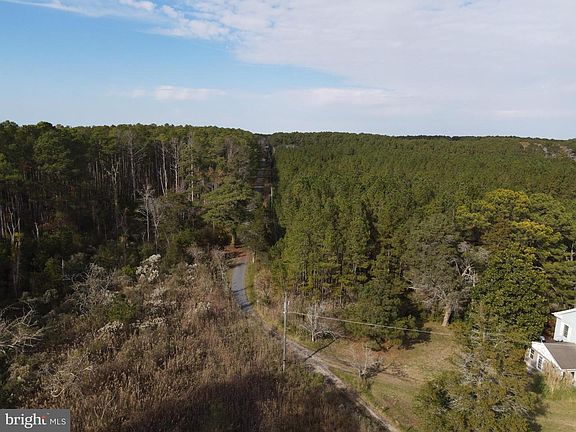 5th image of 10407 William Sharpless Rd