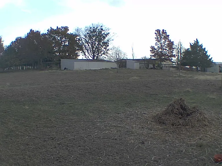 sheep field