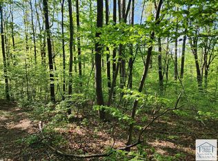 0 Woolwine Hwy, Woolwine, VA 24185