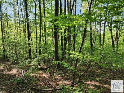 0 Woolwine Hwy, Woolwine, VA, 24185