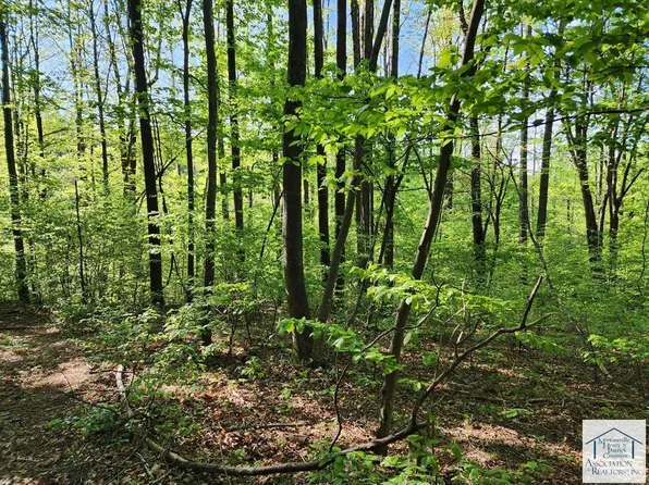 0 Woolwine Hwy, Woolwine, VA 24185