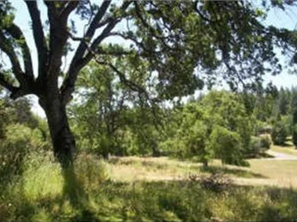 11239 Sheep Ranch Rd, Sheep Ranch, CA 95246