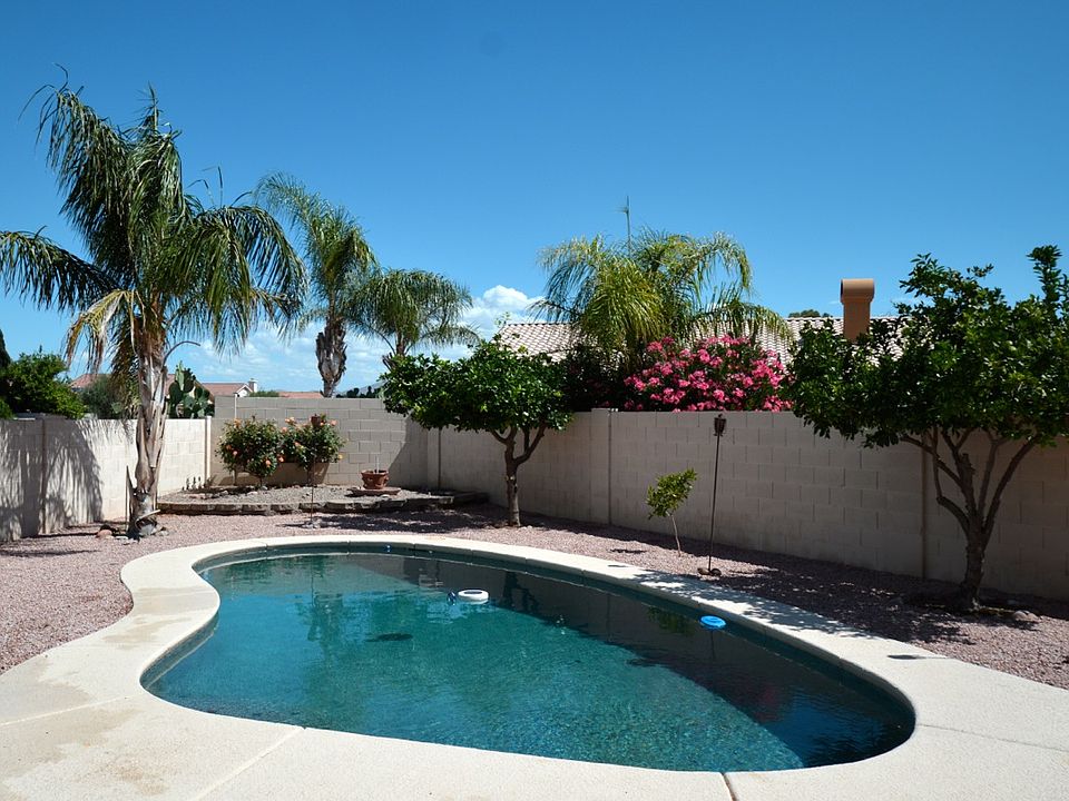 Pool and citrus trees