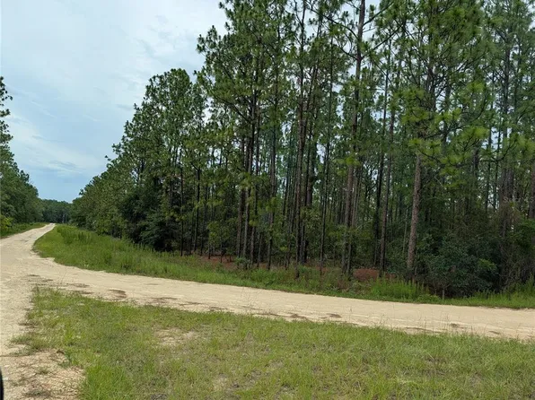 SW TBD SW 125TH COURT ROAD LOT 1 EXC NLY 155 FT, OCALA, FL 34481