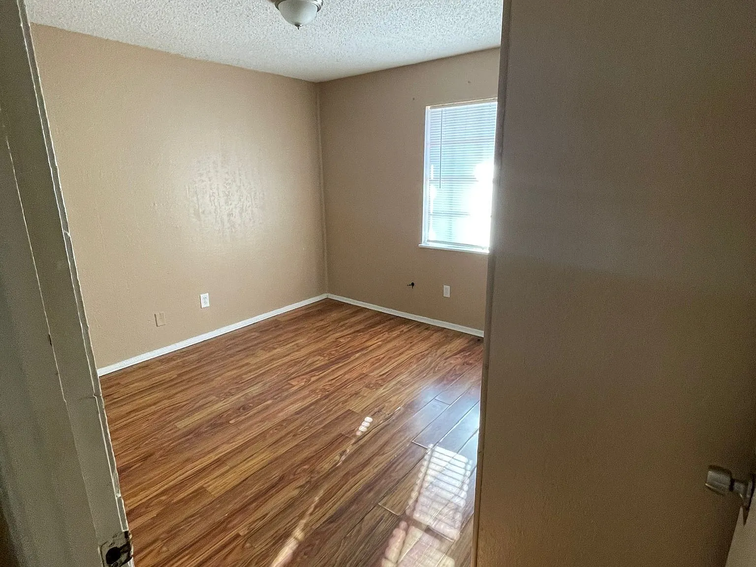 913 Athol Street — Photo 2