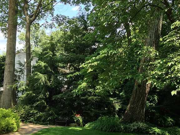 park-like ambience