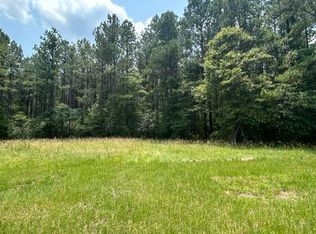 3 George Boutwell Rd, Ovett, MS 39464