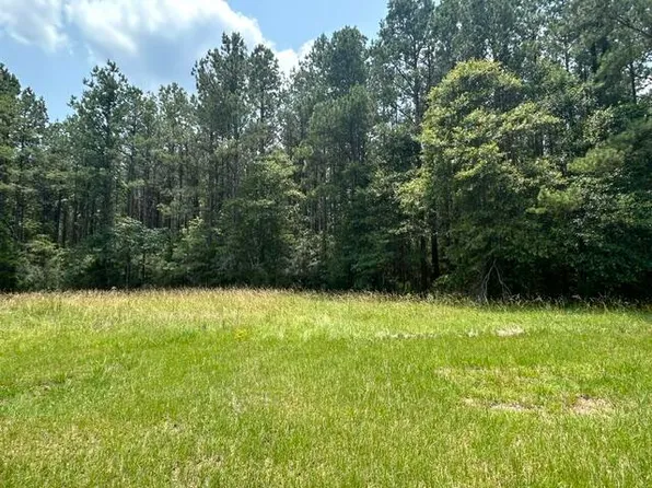 5 George Boutwell Rd, Ovett, MS 39464