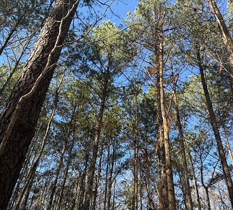 2nd image of 0 Old River Rd #Tract