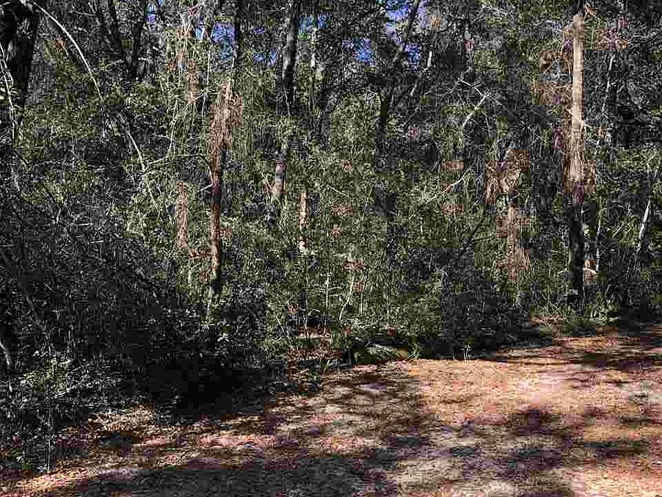 2nd image of 8535 Nelda Rd