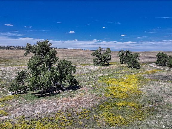 4th image of Fiddleback Ranch Road