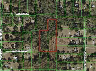 17441 Tangelo Dr, Spring Hill, FL 34610