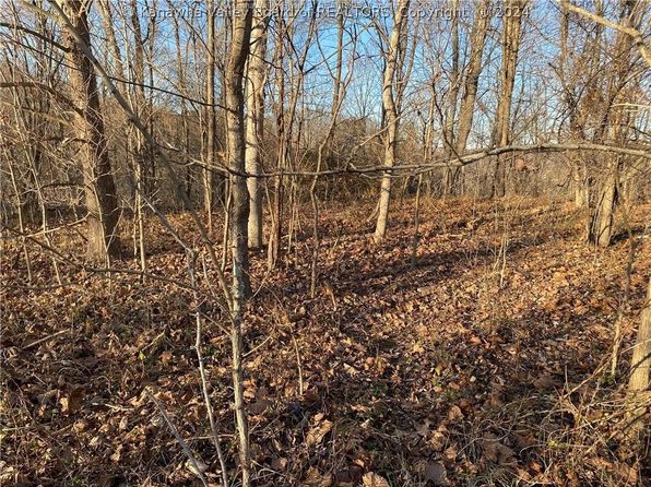 0 Dogwood Dr, New Haven, WV 25265