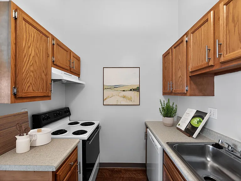 Welcome to the Mansions at Delmar, an Eagle Rock Community! Enjoy modern kitchen amenities featuring sleek appliances, stylish cabinetry, and inviting decor. Make it your new home todayschedule a tour and see the difference for yourself!