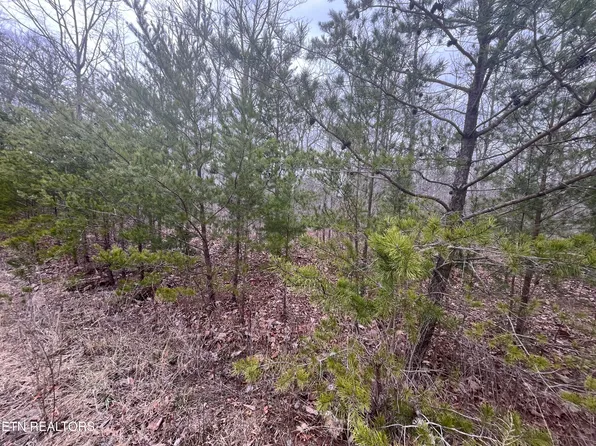 0 Maple Ln, Pikeville, TN 37367