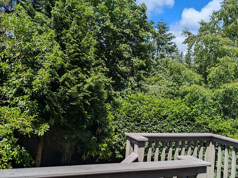 2215 180th Pl NE — Photo 38