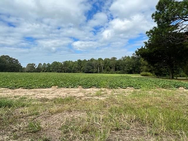 2nd image of 0 Old Stage Rd N