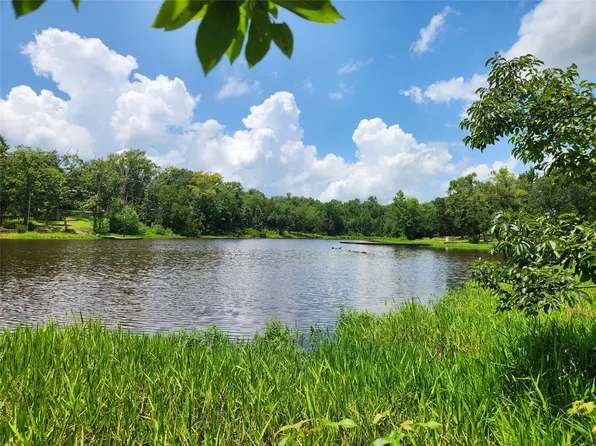 LOT 166 Zebra Xing, Larue, TX 75770